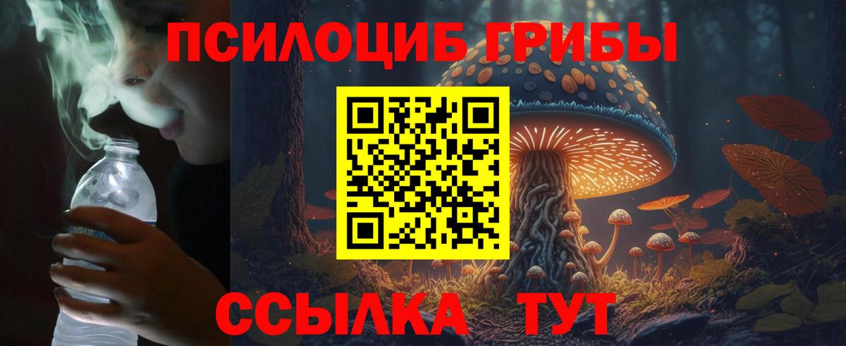 Соликамск  Псилоцибиновые грибы мухоморы  Вход с VPN 